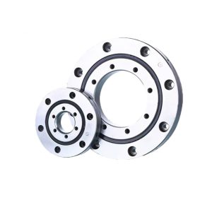 Slewing Ring Bearing