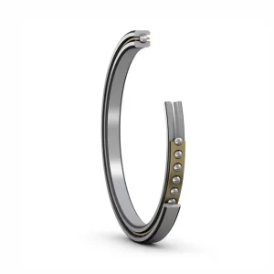 Kaydon Constant Section (cs) Bearings
